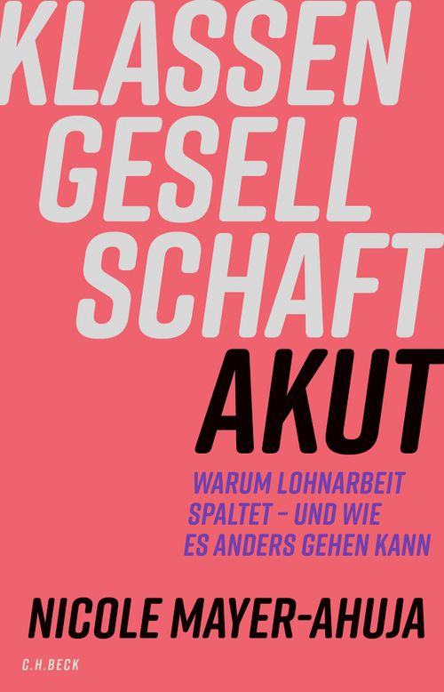 Nicole Mayer-Ahuja: Klassengesellschaft akut - Warum Lohnarbeit spaltet und wie es anders gehen kann